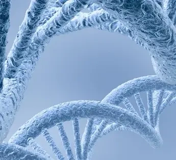 Fonksiyonel Tıp Nedir?