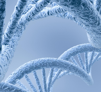 Fonksiyonel Tıp Nedir?