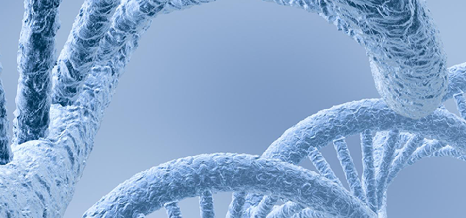 Fonksiyonel Tıp Nedir?