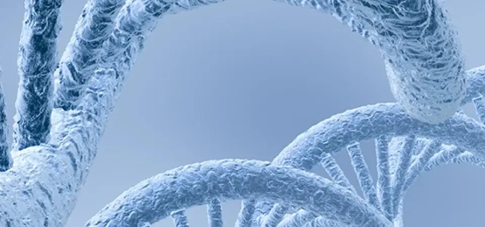 Fonksiyonel Tıp Nedir?